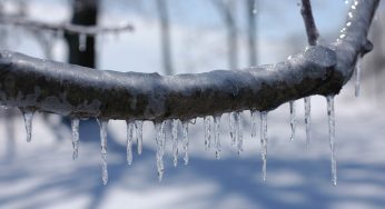 Eis-Orkan und Kälteschock für Deutschland: Der Winter kommt zurück