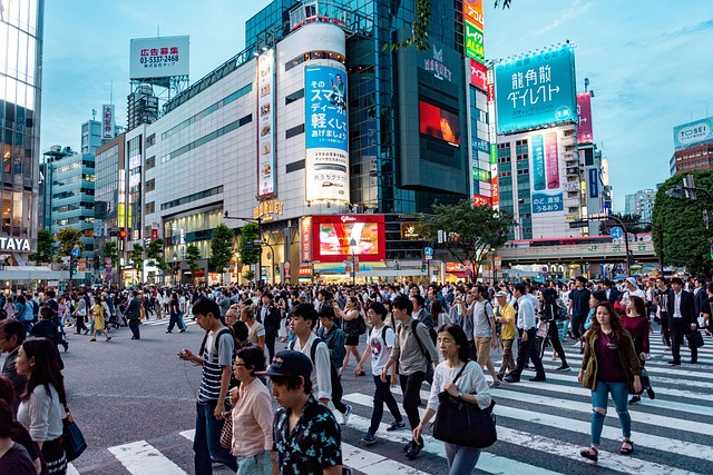 Nationaler Notstand in Japan ausgerufen