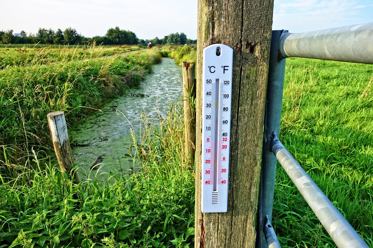 Über 30 Grad: Hitzeglocke legt sich über Deutschland