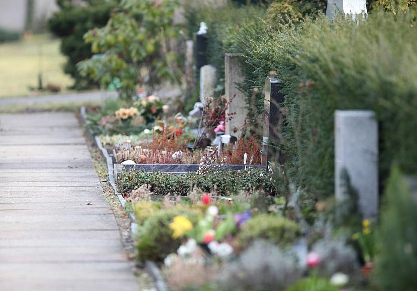 Grippewelle prägt Entwicklung der Sterbefallzahlen zum Jahresstart