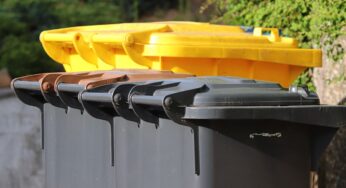 Neues Verbot bei der Mülltrennung – Das kommt auf Haushalte zu