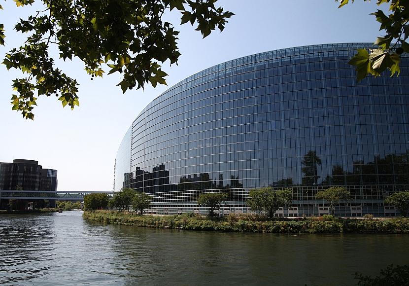 EU-Parlament stimmt für Abschwächung des Schutzes von Wölfen