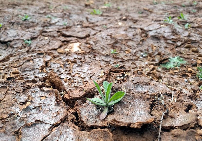 Vergangener Monat war zweitheißester April seit Aufzeichnungsbeginn