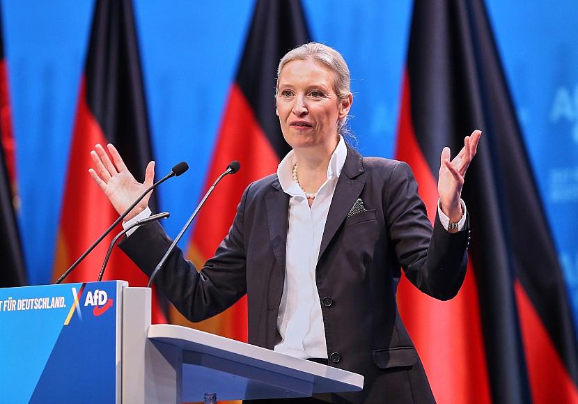 Insa: AfD wieder gleichauf mit Union