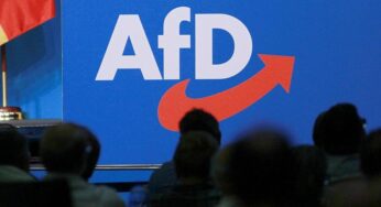 Bundesländer erwägen Entwaffnung von AfD-Mitgliedern