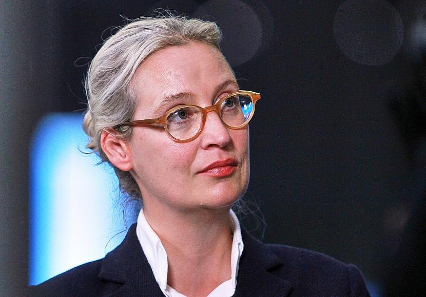 Staatsrechtler Boehme-Neßler: Stillhaltezusage bringt AfD Zeit