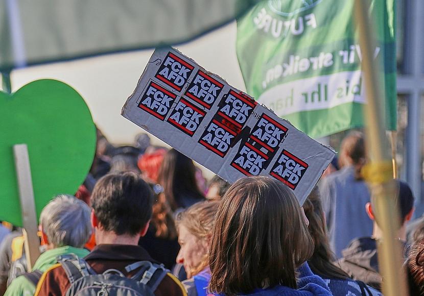 Insa: Mehrheit für AfD-Verbot