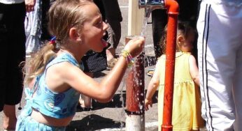 40 Grad in Deutschland: Wer sich jetzt rüsten muss