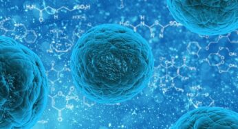 Gesundheitsamt warnt: Seltenes Virus tötet Menschen in Süddeutschland