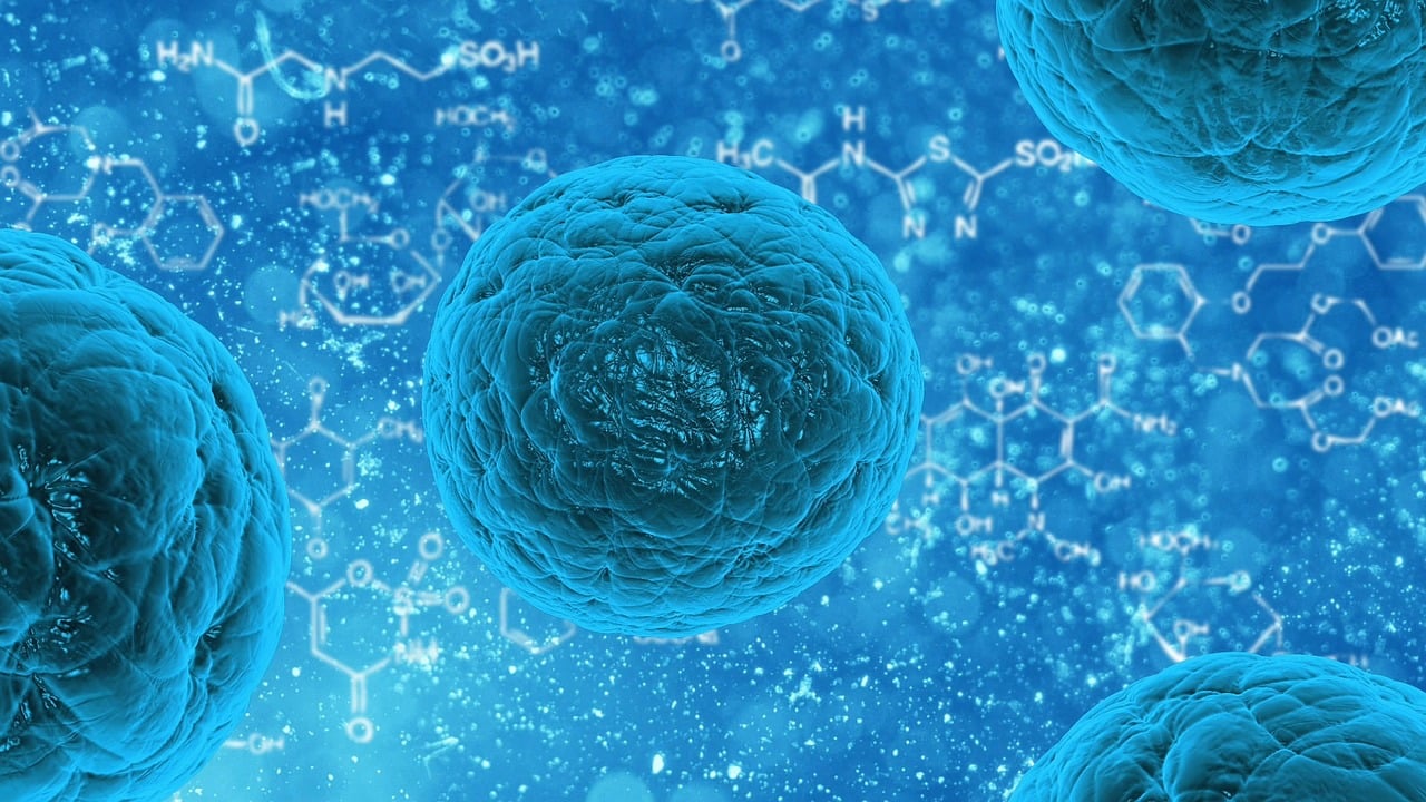 Gesundheitsamt warnt: Seltenes Virus tötet Menschen in Süddeutschland