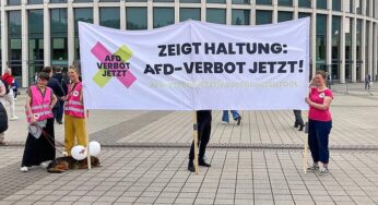 Bundespräsident rät bei AfD-Verbotsantrag zu „sorgsamer Abwägung“
