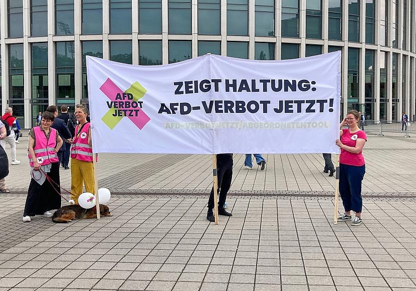 Bundespräsident rät bei AfD-Verbotsantrag zu „sorgsamer Abwägung“