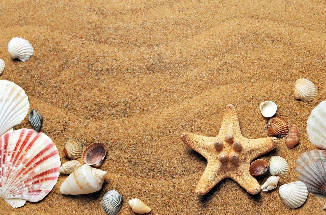 Alle Urlauber zahlen ab dem 1. Juli eine neue hohe Gebühr