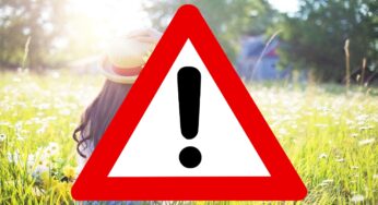 DWD warnt alle Bürger: Eklige Plage breitet sich in Deutschland aus