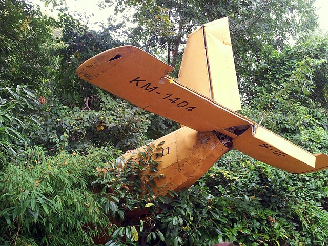 Keine Überlebenden nach deutschem Flugzeugabsturz 
