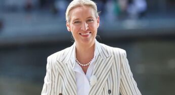 Insa: AfD schließt zu Union auf