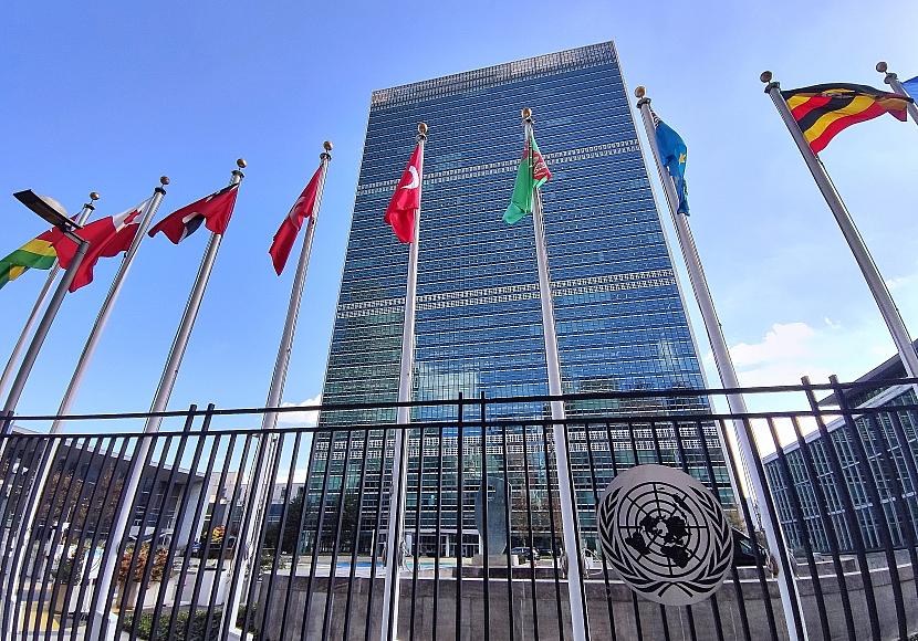 Grüne fordern Merz-Teilnahme an Zwei-Staaten-Konferenz