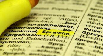 Studie zeigt stagnierende Literalität im deutschsprachigen Raum