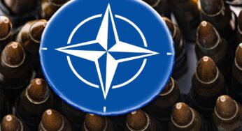 Streit unter Mitgliedern: Großes EU-Land droht, aus der Nato zu fliegen