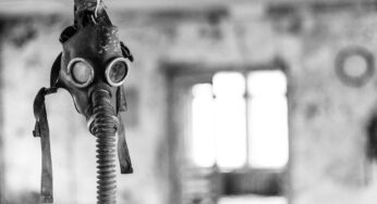 Forscher machen in der Sperrzone von Tschernobyl schräge Entdeckung