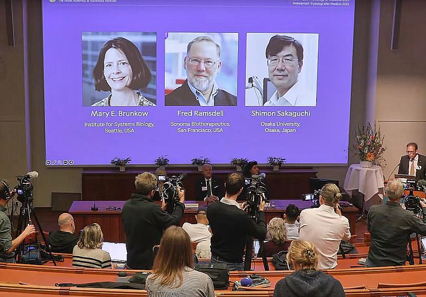 Medizinnobelpreis geht an drei Immunforscher