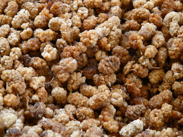 Bundesweiter Rückruf von Trockenobst 