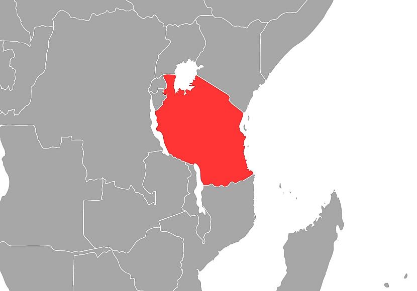 Opposition in Tansania wirft Präsidentin Wahlfälschung vor