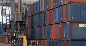 Grüne wollen nach Mercosur-Streit mehr Handelsabkommen