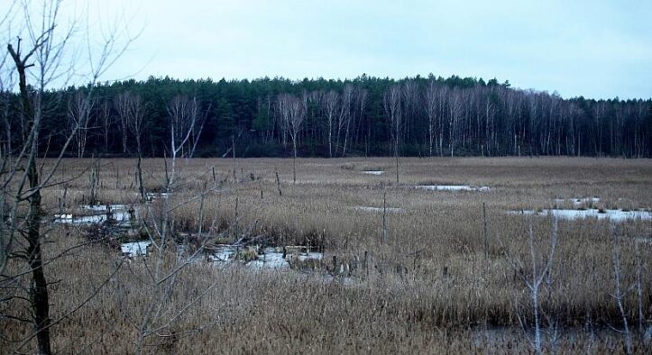 Europaweite Moor-Emission doppelt so hoch wie bisher geschätzt