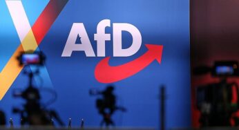 Hamburg will Beobachtung von AfD-Jugend durch Verfassungsschutz