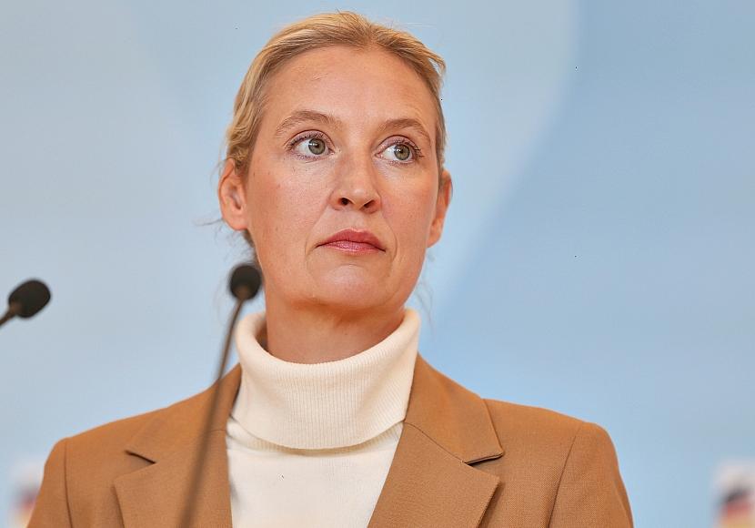 Forsa: AfD weiter vorn – Linke verliert