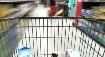 Bauernverband lehnt „Deutschland-Korb“ ab