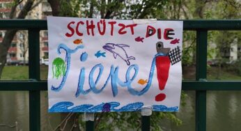 Zahl der Versuchstiere sinkt unter Zwei-Millionen-Grenze