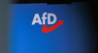 Gründung neuer AfD-Jugend: CDU erwartet Parteiverbots-Diskussion