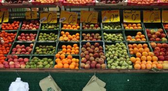 Weniger Lebensmittelkontrollen wegen Personalmangels