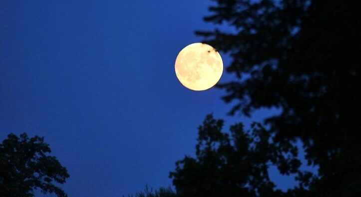 CSU will Deutschland zum Weltraumzentrum Europas machen