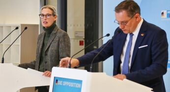 Politbarometer: AfD büßt ein – Grüne legen zu