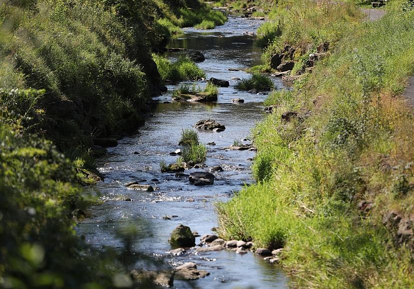 Umweltministerium startet Renaturierungsprogramm für Flussauen