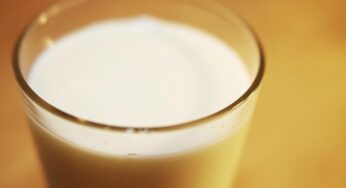 Milchbauern rufen Rainer zu Kampf gegen Preisverfall auf