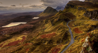 Weder Tier noch Pflanze: 8 Meter hohe neue Lebensform erstaunt Forscher
