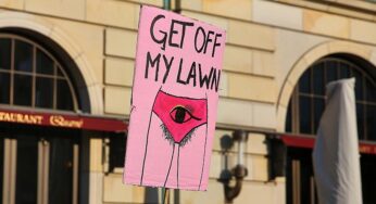 Linke will Gesamtstrategie zum Schutz von Frauen