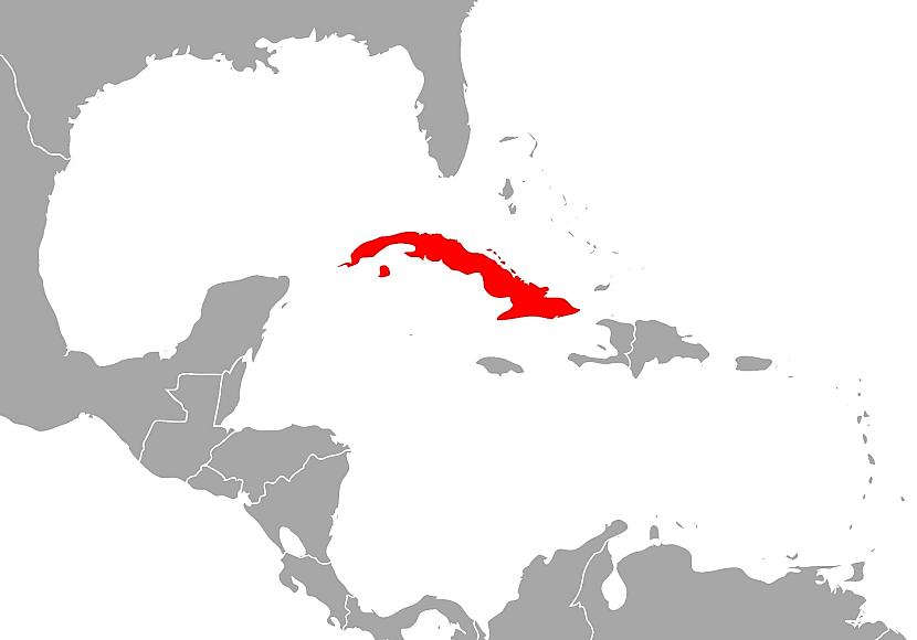 USA lassen russischen Öltanker nach Kuba