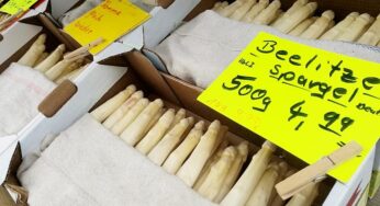 Spargelanbau in Deutschland geht zurück
