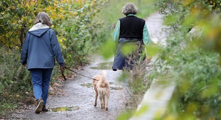 Muntean: „Wenn Frauen krank werden, leidet die ganze Gesellschaft“
