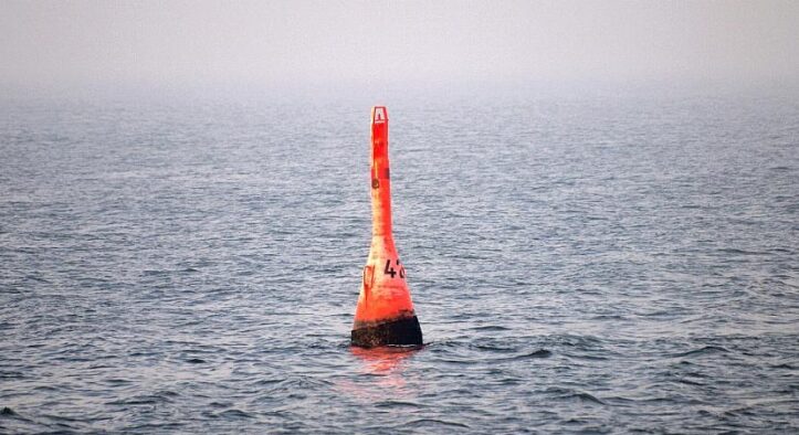 Gestrandeter Buckelwal in der Nordsee freigesetzt