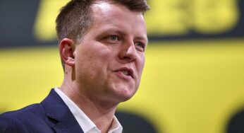 FDP-Vize Höne will Parteivorsitzender werden