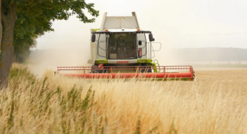 Iran-Krieg gefährdet Nahrungsmittelversorgung