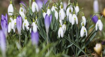 Völlig unerwartet: Millionen Bürgern droht in den kommenden Wochen ein teures Bußgeld