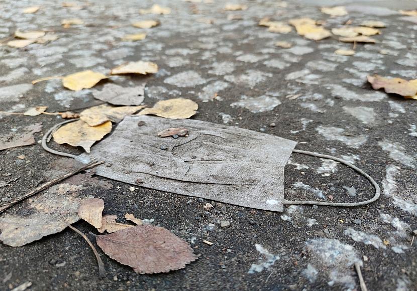 „Masken-Affäre“: Ex-CSU-Politiker kritisiert Ermittler und Söder