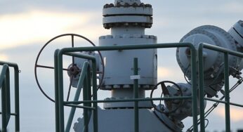 Gaspreise: Wirtschaftsweiser will europäisches Einkaufskartell